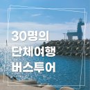 헬로우제주여행사 | 여러명이라도 상관없는 제주 동쪽 단체 버스 여행