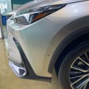 워시엔카 이미지