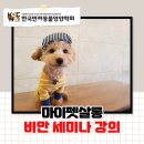 마이 펫 살롱 이미지