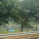 초평선착장 이미지