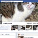 내친구고양이 이미지