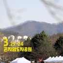 다농플라워