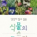 과학아 나랑놀자 Daum카페