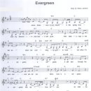 상록수(Evergreen) 이미지