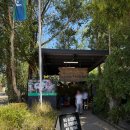 드랍더미트 | 호주 시드니 블루마운틴 페더데일 동물원 투어 선셋 별보기 내돈내산 상세 후기