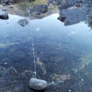 애플하우스민박 이미지