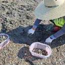 모도리어촌체험휴양마을 이미지