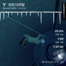제주의 투명한 바다를 담은 수영복, 풀타임 바당 메아리 후기 🐬🏖