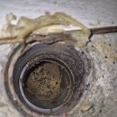 광원아파트 이미지