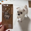 승희슈퍼 | 난 늘 혼잣말을 해