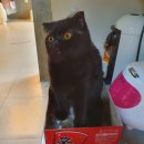 영진의류 이미지