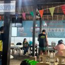 상어 | 다이빙 중 나타난 대왕 고래상어 보홀 릴라 후기