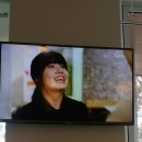 엔돈카츠