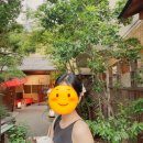 2023-0057 | 여행, 장어덮밥 쿄우나와 본점, 청수사, GOKAGO 말차라떼, 오사카 키타스시 본점, KYK 돈카츠 후기