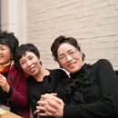 카페이서 이미지