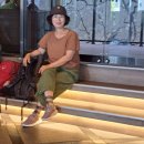 도쿄 원데이 씨티투어 이미지