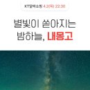 별빛 티스토리