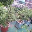 물레방아농장 이미지