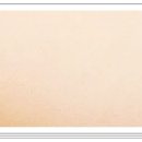 (주)엠에스엠 이미지