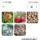 사리현농장 이미지