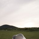 시그널그라피