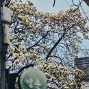 아는 사람 되기 | 250323 장들레 [아는 사람] 3일차 후기