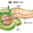 보람샘 이미지