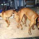 메이데이 이미지