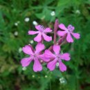 한성부동산 이미지