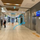 초록숲약국 이미지