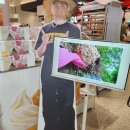 (주)보라비소프트 | [서울/용산] 프응 팝업 바이비(Vibee) 초코화분 아이스크림 내돈내산 후기 아이파크몰 도파민스테이션...
