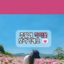 붕어섬1(다리앞) 이미지