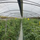 두무농장 이미지