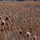 창선생활체육공원 이미지