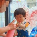 팜더랑