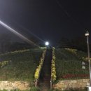 창룡문사거리(동공원) 이미지