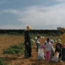 삼촌농장 이미지