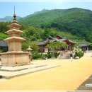 밀양연극촌 숲의극장