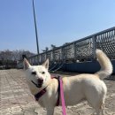 관문체육공원 농구장 이미지