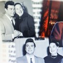 미크로스 Daum카페