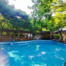 곰골산촌 이미지