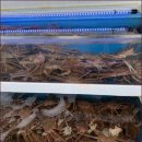 신선한 회와 대게를 푸짐하게 맛본 죽변횟집 추천 장소 울진대게궁7호 방문 후기