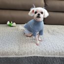 연지 동물병원 이미지