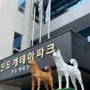 제갈농장 | [진도여행] 진도가볼만한 곳, 진도개테마파크