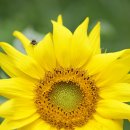 현대인-공존 이미지