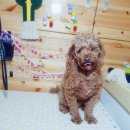 이쁘개(내포신도시점) 이미지