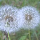 토리스토리 이미지