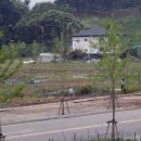 맹꽁이농장 이미지