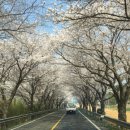 용서폭포 이미지