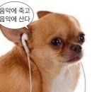 마음애들어
